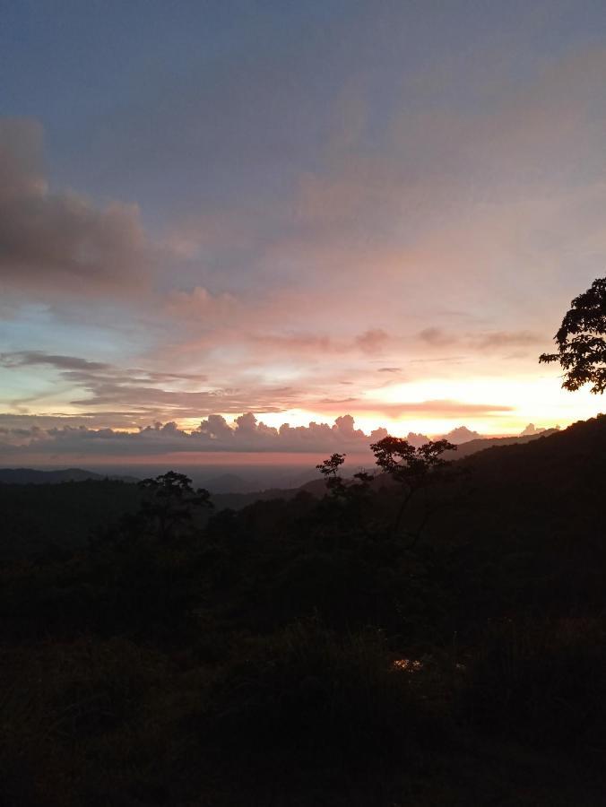 4 Acre Woods Farm Stay Munnar Exterior foto