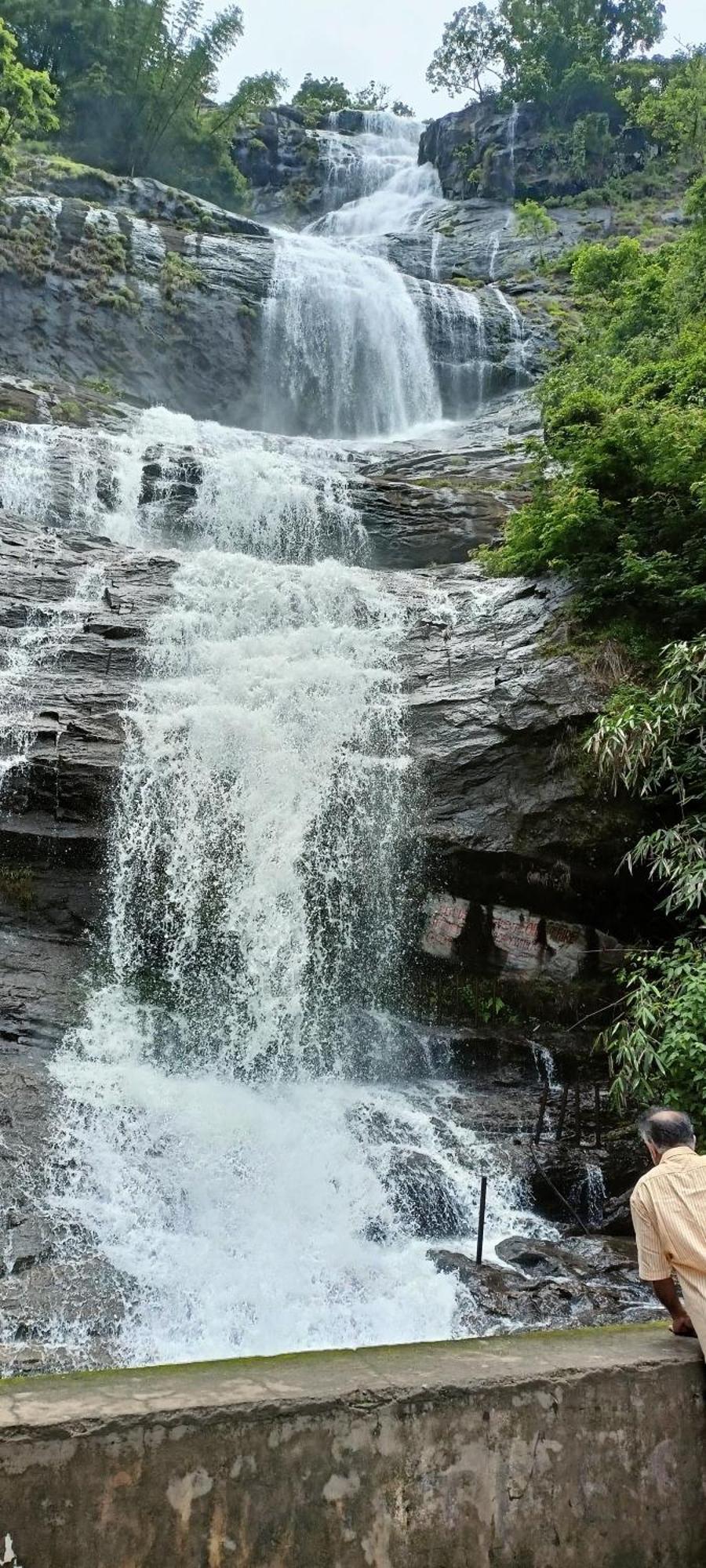 4 Acre Woods Farm Stay Munnar Cameră foto