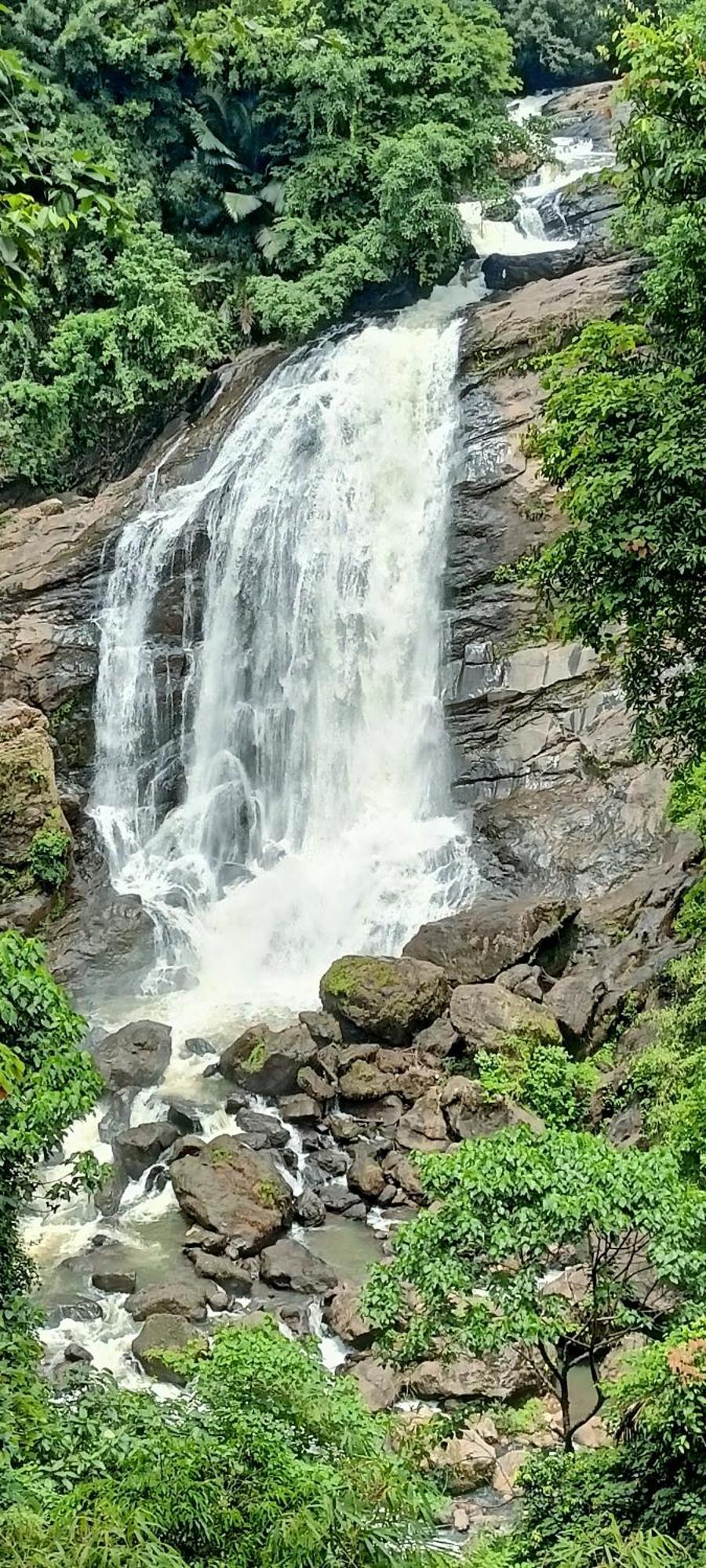 4 Acre Woods Farm Stay Munnar Cameră foto